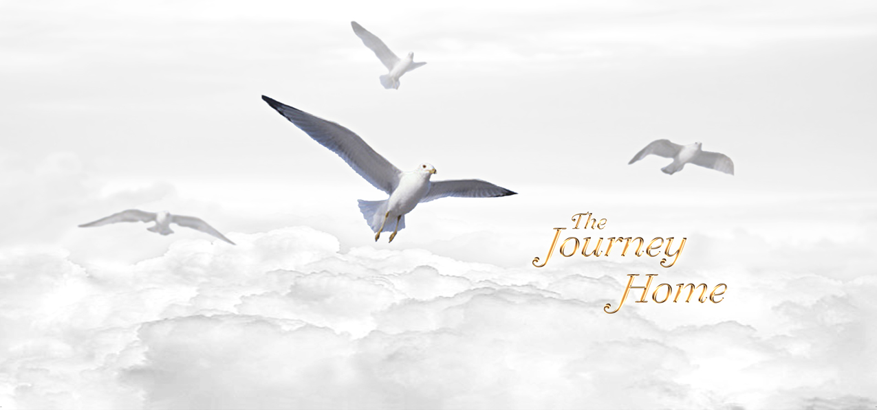 Journey Home Clouds Birds Gold White